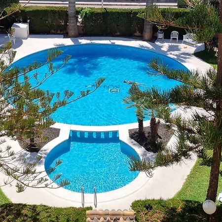 Flamenco Penthouse Sea View & Swimming Pool Daire Torrevieja Dış mekan fotoğraf