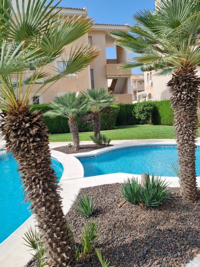 Flamenco Penthouse Sea View & Swimming Pool Daire Torrevieja Dış mekan fotoğraf
